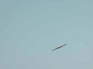 Fast! This lttile sailplane is suprisingly fast (3712151 bytes)