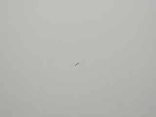 Invert flight (2559799 bytes)