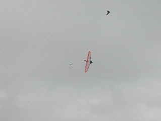 Very good in aerobatics rolls (2722607 bytes)
