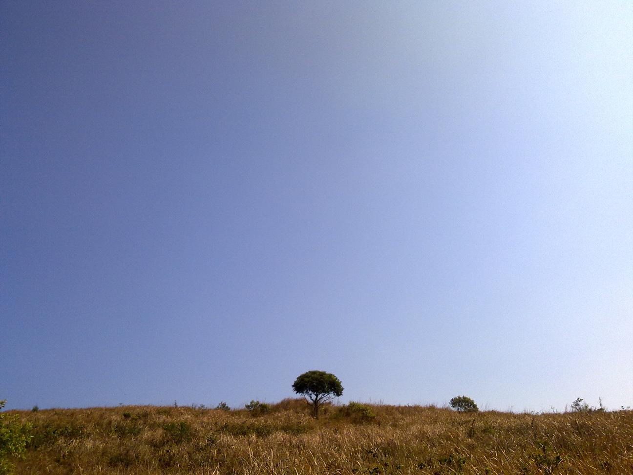 010120121814.jpg
